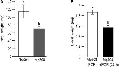 Aboveground Herbivory Influences Belowground Defense Responses in Maize